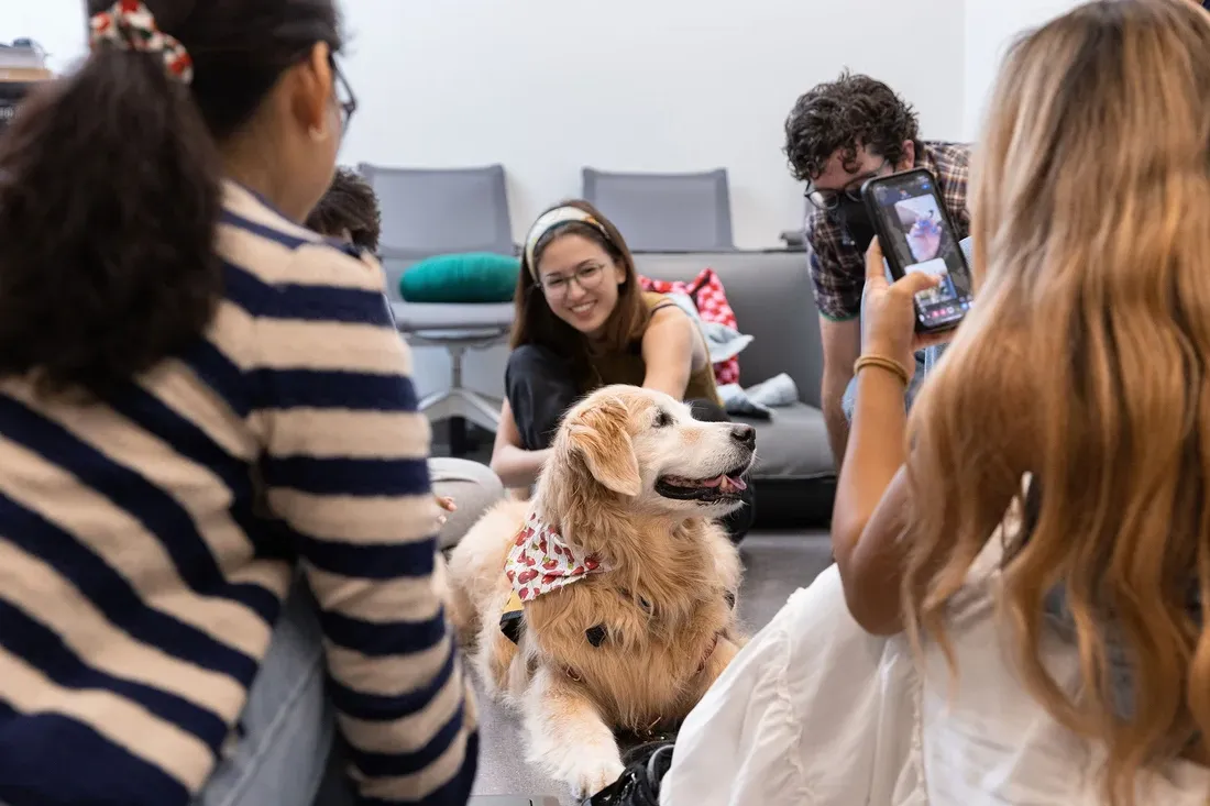 Students in the pet therapy room at the Barnes Center.